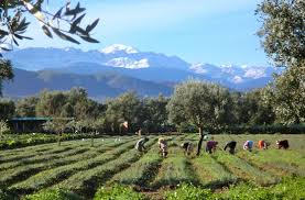 Le Paradis Du Safran Ourika 2020 All You Need To Know Before You Go With Photos Tripadvisor