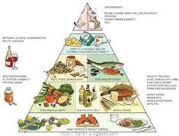 Torch Blog Pescetarian Healthy Eating Pyramid Healthy Eating Plate Pyramids