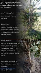 They die, fall, lose branches, break the sidewalk, and more. Volunteer Call Out Help With Cage Removal On Planted Trees Landcare Tasmania