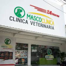 Clínica Veterinaria 24 horas Mascoland