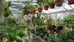 If you need to move house, you can easily take your indoor greenhouse apart and relocate it together with your plants. Campus Greenhouse To Be Built By Fall Semester