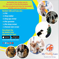 We show it with every belly rub, long walk, scratch behind the ear, and treat we give. Pet Care Services In Chennai Homes Of Heaven