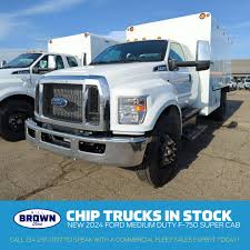 Image result for Medium Brown 2021 Fleet