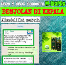 Hasil gambar untuk mbiopro