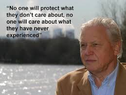 MWT: People and Wildlife