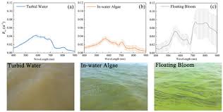 Remote Sensing Free Full Text The Assessment Of Landsat 8 Oli Atmospheric Correction Algorithms For Inland Waters Html