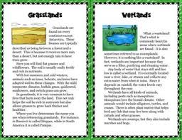 Ecosystems Scavenger Hunt Reading Activity By The Owl Teacher Teachers Pay Teachers In 2020 Scavenger Hunt Reading Activities Ecosystems