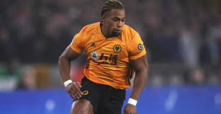They are usually shy and cautious around humans. Wolverhampton Wanderers Real Total