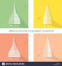Population And Demography Illustration Of 2 Types Of