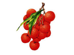 ह न द और इ ग ल श म ज न य 81 फल क. Fruits Name With Pictures In English