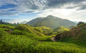 Muslim homestay di cameron highlands. Percutian Bajet Ke Cameron Highland Daily Cuti