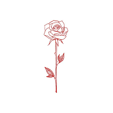 Beautiful red rose with long stem and leaves with the effect of a watercolor drawing isolated on white. Small Simple Rose Drawing Novocom Top