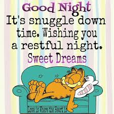 We did not find results for: Sweet Dreams Funny Good Night Quotes Good Night Funny Good Night Quotes