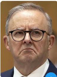 Kaylee McCandless (@KayMccandless)