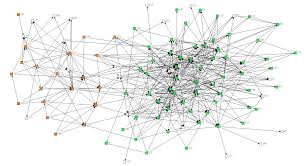 Reproducing the Firm: Routines, Networks and Identity