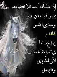 pin by fayssal mahieddine on روائع الحكم arabic quotes islamic pictures life quotes