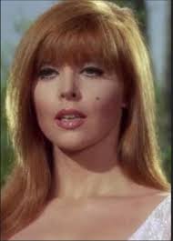 Gilligan's Island Castaways vs Hollywood Actress