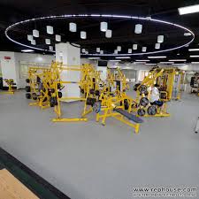 Neoflex High Performance Fitness Flooring At The Taipei American School The Tiger Health And Wellness C Floor Workouts Health And Wellness Center Gym Flooring