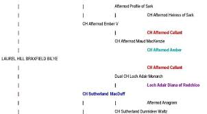 The Ins and Outs of Pedigree Analysis
