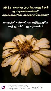 Pin By Lavanya On A Tamil Quotes In 2020 Fruit Banana Food