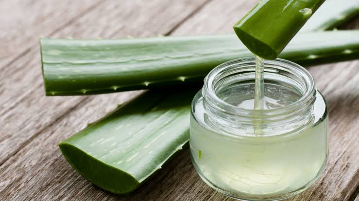 benefícios da aloe vera - Herbalos