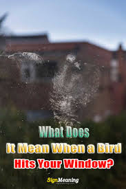 Birds are intelligent about natural predators and obstacles in their environment, but they do not recognize glass as a solid surface and have no conception that it can be dangerous. What Does It Mean When A Bird Hits Your Window Sign Meaning