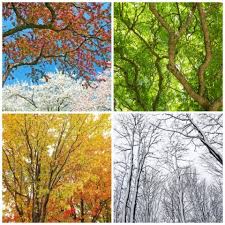 Le printemps + l'été + l'automne + l'hiver = les quatre saisons d'une année. Pourquoi Y A T Il Des Saisons Let S Talk Science
