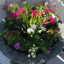 I would recommend them for your lawn care. Caribbean Lawn Landscaping Landscaping 7220 41st St Vero Beach Fl Phone Number Yelp