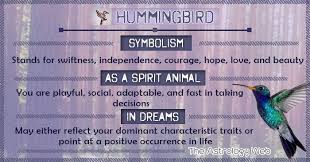 What Does A Hummingbird Symbolize Hummingbird The Smallest Among All Birds Symbolizes Lightne Hummingbird Meaning Spirit Animal Meaning Hummingbird Symbolism