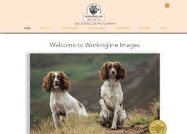 Caroline Dell Photographer South Yorkshire