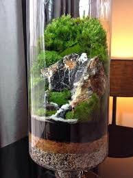 Mahmut Kirnik 710 Terrarium Terrarium Wedding Crystal Terrarium Terrarium Succulentes Succulents In Glass Mini Garden Terrarium Jar
