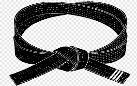 Born in indiana, raised in hawaii, storm is a world class martial artist who has trained in various styles for over 19 years. Black Belt Karate Obi Martial Arts Taekwondo Karate Belt Buckle Sports Black Png Pngwing