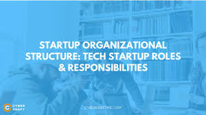 Startup Organizational Structure Tech Startup Roles