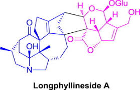 Image result for Eriocoelum microspermum