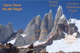 Image result for Memecylon torrei