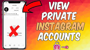 Should i keep my instagram account private? View Private Instagram Accounts Secretly How To View Private Instagram Private Instagram Account Secret Websites Instagram Accounts