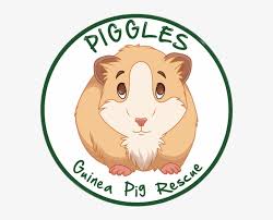 Piggles Guinea Pig Rescue Guinea Pig Transparent Png 600x600 Free Download On Nicepng