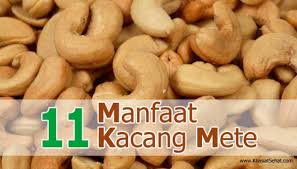 Selain kacang mete, almond dan walnut, masih ada jeni kacang lainnya yang bisa kita makan. 11 Manfaat Kacang Mete Untuk Kesehatan Khasiat Sehat