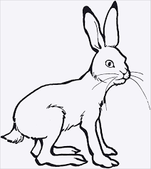 Ausmalbilder Hasen Zum Ausdrucken Inspirierend Hasen Bilder Kostenlos Fotos Designs Ausmalbilder Oster Ausmalbild Hase Hase Vorlage Zum Ausdrucken Ausmalbilder