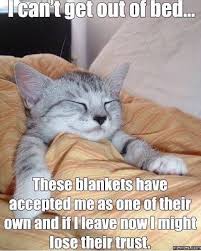 images?q=tbn:ANd9GcS36WXxCqfjdIT9cjgY9Bc