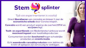 Splinter heeft daar een oplossing voor: Nieuwe Politieke Partij Splinter Zet In Op Legalisering Cannabis Mediacontent Nu