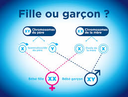 Il est aussi possible de calculer la grossesse à partir de la date de conception. Peut On Choisir D Avoir Une Fille Ou Un Garcon