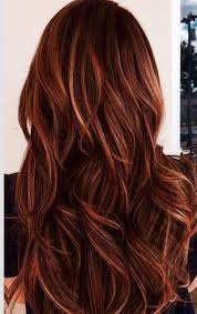 These nutmeg and caramel highlights are everything you could wish for in a winter hairstyle and color. And Caramel Highlights In Dark Brown Hair Red And Caramel Highlights Auburn Hair With Highlights Hair Color Balayage Auburn Balayage