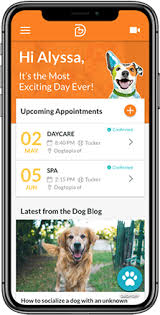 K9 resorts offers an optimized doggy daycare business plan & franchise opportunity for the dog lover in you. Own A Dog Daycare Franchise Dogtopia Franchise