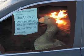The A C Is On He Has Water Goose On Fire Fire Duck Know Your Meme