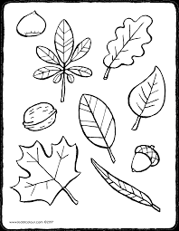 Kleurplaten Herfstbladeren Kleurplaten