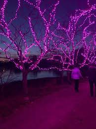 Lightscape It S A Beautiful Sight At Chicago Botanic Garden Chicago Botanic Garden Botanical Gardens Garden Show