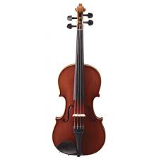 Image result for Viola