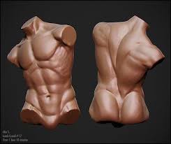 Anatomy body female female body figure torso. Alexs3d Lunch Crunch 17 Male Torso Anatomy Torso In 2019 Anatomy Sculpture Man Anatomy Human Anatomy For Artists