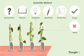 Check spelling or type a new query. 6 Steps Of The Scientific Method